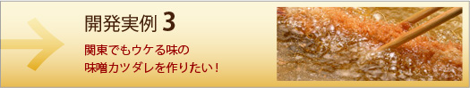 開発実例3 関東でもウケる味の味噌カツダレを作りたい！